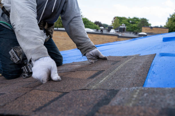 Best Storm Damage Roof Repair  in Edgar, WI