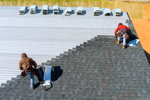 Best Chimney Flashing Repair  in Edgar, WI