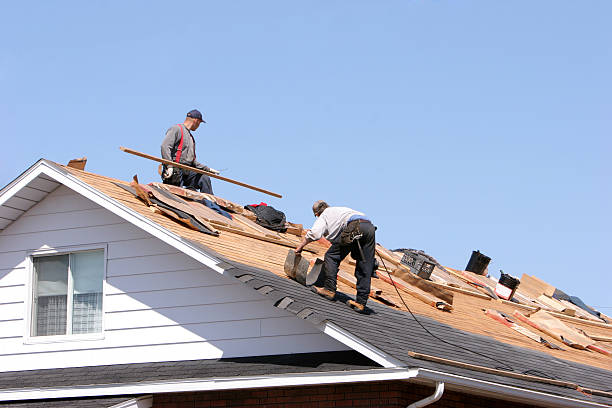 Edgar, WI Roofing services Company